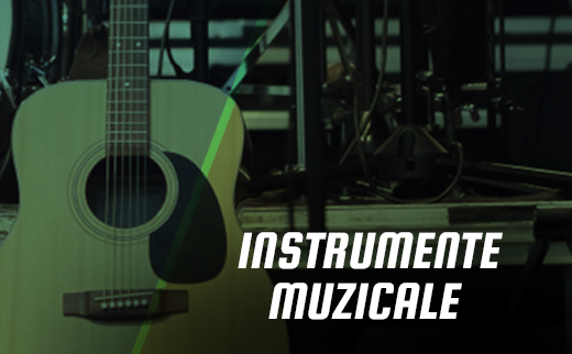 Instrumente Muzicale