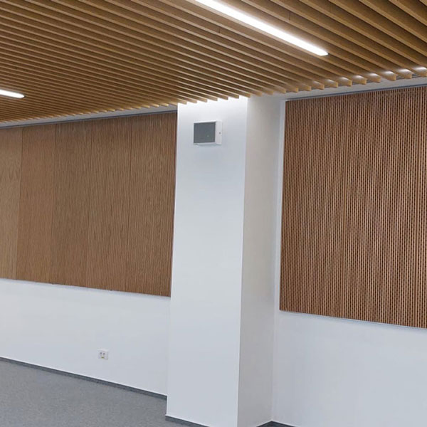 Tratament acustic pentru Pavilionul Administrativ -  Baza Aeriană 86 Borcea #5