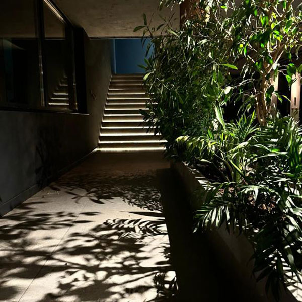 Hotel Doina #3