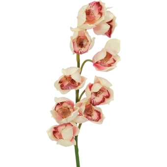 EUROPALMS Cymbidium branch, artificial, creme-pink, 90cm #2