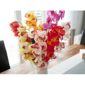 EUROPALMS Cymbidium branch, artificial, creme-pink, 90cm #4