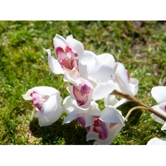 EUROPALMS Cymbidium branch, artificial, white-pink, 90cm #8