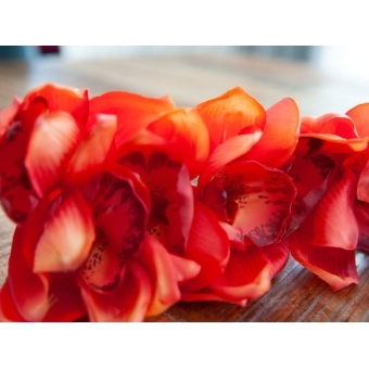 EUROPALMS Cymbidium branch, artificial, red, 90cm #4