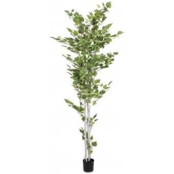EUROPALMS Birch Tree, artificial plant, 210cm #3