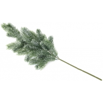 EUROPALMS Fir branch, snowy, PE, 65cm #2