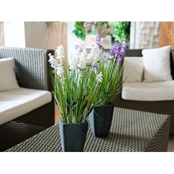 EUROPALMS Lavender, artificial plant, cream, in pot, 45cm #4