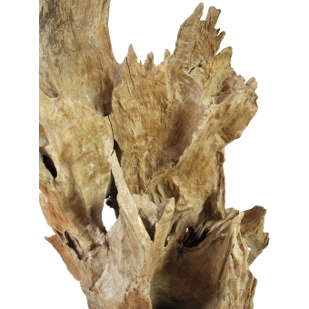 EUROPALMS Natural wood sculpture 160cm #6