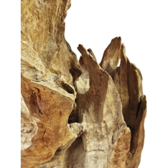 EUROPALMS Natural wood sculpture 160cm #8
