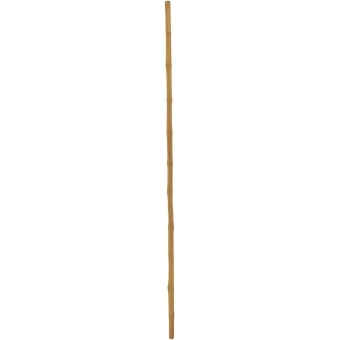 EUROPALMS Bamboo tube, Ø=3cm, 200cm