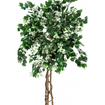 EUROPALMS Bougainvillea, artificial plant, white, 150cm #2