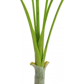 EUROPALMS Areca deluxe, artificial plant, 180cm #2