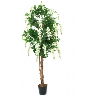 EUROPALMS Wisteria, artificial plant, white, 150cm