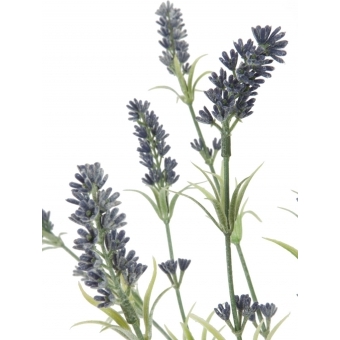 EUROPALMS Lavender bush, artificial, 61cm #2