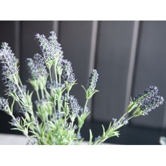 EUROPALMS Lavender bush, artificial, 61cm #3