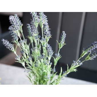 EUROPALMS Lavender bush, artificial, 61cm #4