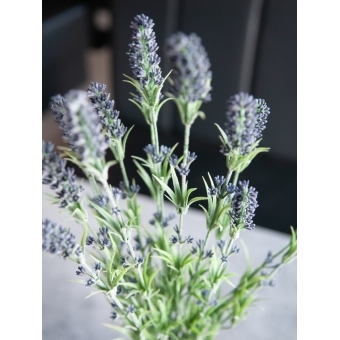 EUROPALMS Lavender bush, artificial, 61cm #5