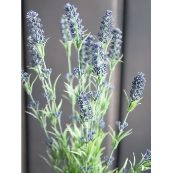EUROPALMS Lavender bush, artificial, 61cm #8