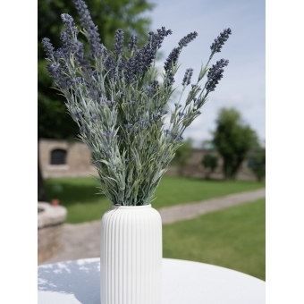 EUROPALMS Lavender bush, artificial, 61cm #9