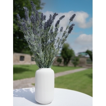 EUROPALMS Lavender bush, artificial, 61cm #11