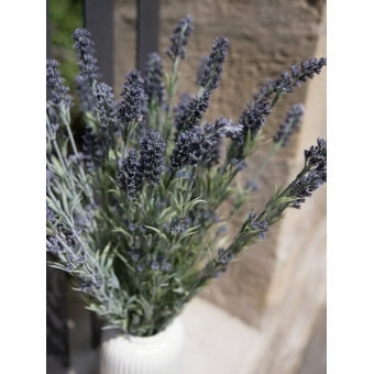 EUROPALMS Lavender bush, artificial, 61cm #12