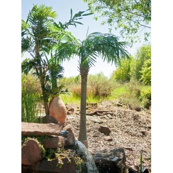 EUROPALMS Phoenix Palm Tree Luxor, artificial plant, 150cm #17