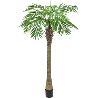 EUROPALMS Phoenix Palm Tree Luxor, artificial plant, 240cm