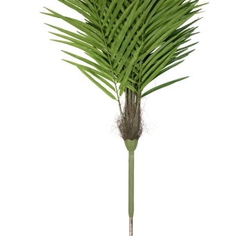 EUROPALMS Phoenix Palm Tree Luxor, artificial plant, 240cm #3