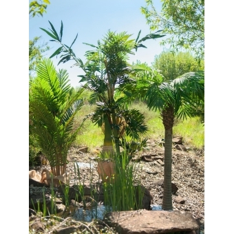 EUROPALMS Phoenix Palm Tree Luxor, artificial plant, 240cm #18