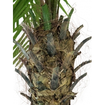 EUROPALMS Phoenix palm tree luxor, artificial plant, 300cm #3