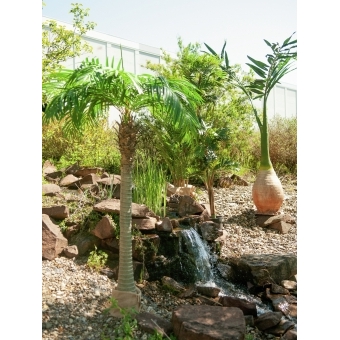 EUROPALMS Phoenix palm tree luxor, artificial plant, 300cm #11