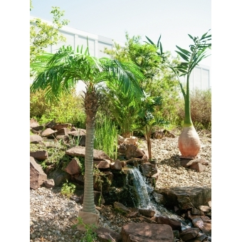 EUROPALMS Phoenix palm tree luxor, artificial plant, 300cm #12
