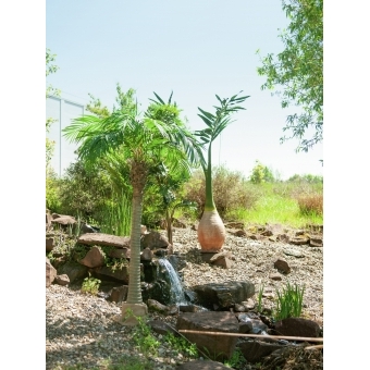 EUROPALMS Phoenix palm tree luxor, artificial plant, 300cm #14