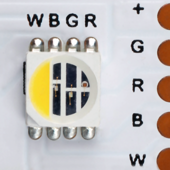 Flex Strip RGBW 4-in-1 #2