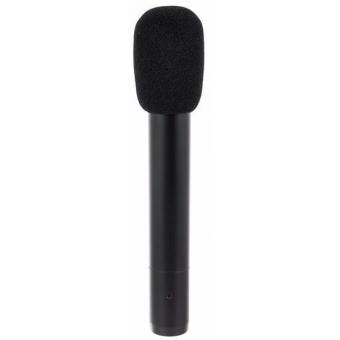 Audio-Technica AT2031 - Microfon Cardioid Condenser pentru instrumente cu coardă #8