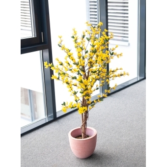 EUROPALMS Forsythia tree with 3 trunks, artificial plant, yellow, 150cm #6
