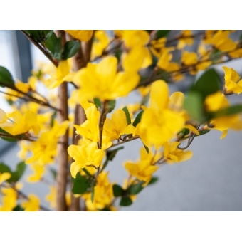 EUROPALMS Forsythia tree with 3 trunks, artificial plant, yellow, 150cm #7