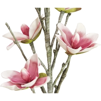 EUROPALMS Magnolia branch (EVA), artificial, white pink #2