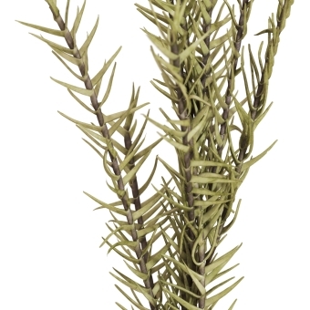 EUROPALMS Rosemary Twig (EVA), artificial, green #2
