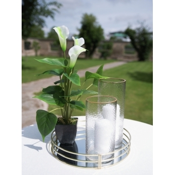 EUROPALMS Mini Calla, artificial plant, white, 43cm #5