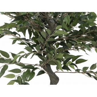 EUROPALMS Ficus Forest Tree, artificial plant, green, 110cm #2
