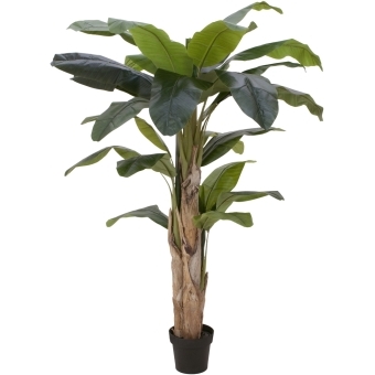EUROPALMS Banana Tree, artificial plant, 170cm