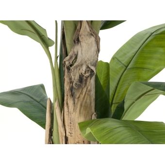 EUROPALMS Banana Tree, artificial plant, 170cm #3