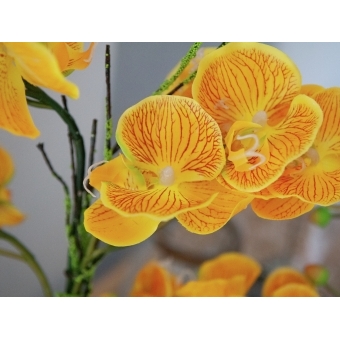EUROPALMS Orchid arrangement EVA, artificial, yellow #5