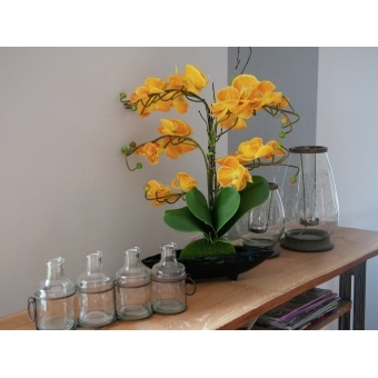 EUROPALMS Orchid arrangement EVA, artificial, yellow #7
