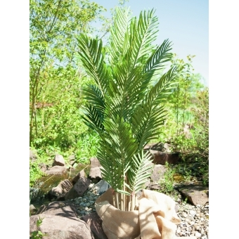 EUROPALMS Kentia Palm Tree, artificial plant, 140cm #5