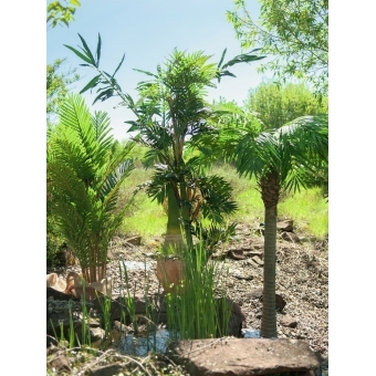 EUROPALMS Kentia Palm Tree, artificial plant, 140cm #10