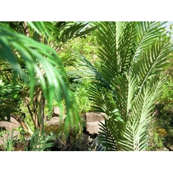 EUROPALMS Kentia Palm Tree, artificial plant, 140cm #12