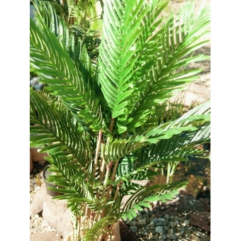 EUROPALMS Kentia Palm Tree, artificial plant, 140cm #15