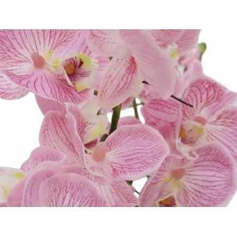 EUROPALMS Orchid arrangement (EVA), artificial, purple #2