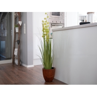 EUROPALMS Allium Grass, artificial, 122cm #5